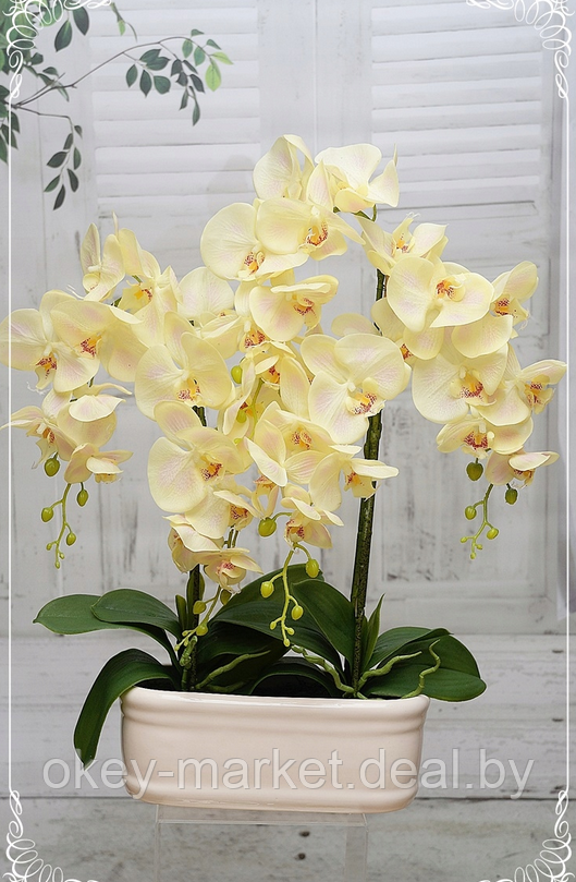Цветочная композиция из орхидей в горшке E-24 - фото 3 - id-p147752326