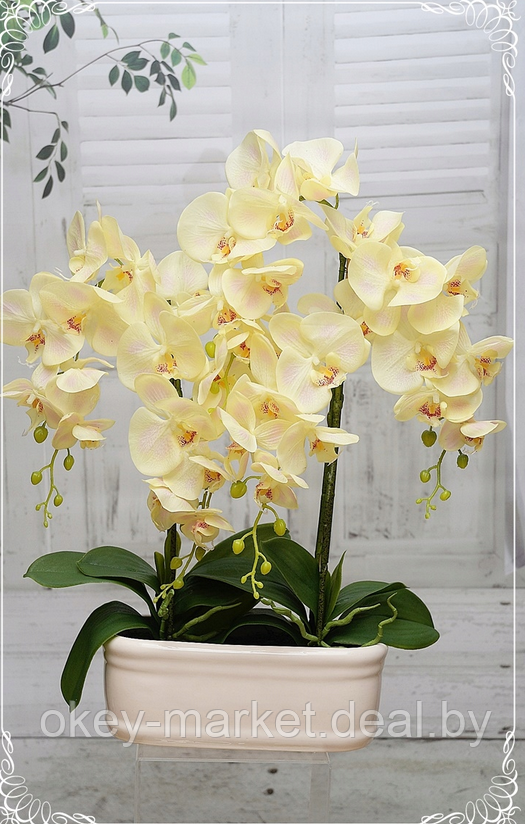 Цветочная композиция из орхидей в горшке E-24 - фото 4 - id-p147752326