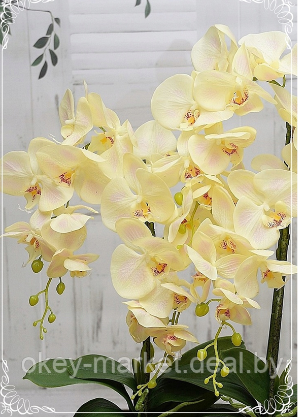 Цветочная композиция из орхидей в горшке E-24 - фото 5 - id-p147752326