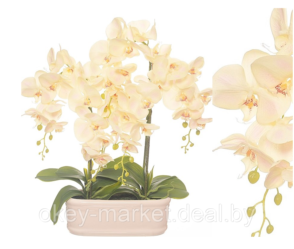 Цветочная композиция из орхидей в горшке E-24 - фото 2 - id-p147752326