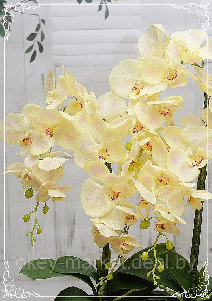 Цветочная композиция из орхидей в горшке E-24 - фото 6 - id-p147752326