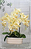 Цветочная композиция из орхидей в горшке E-24, фото 3