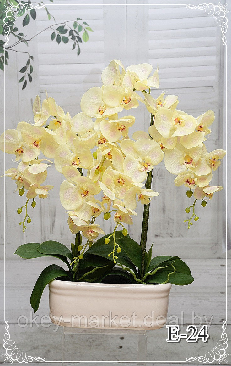 Цветочная композиция из орхидей в горшке E-24 - фото 8 - id-p147752326