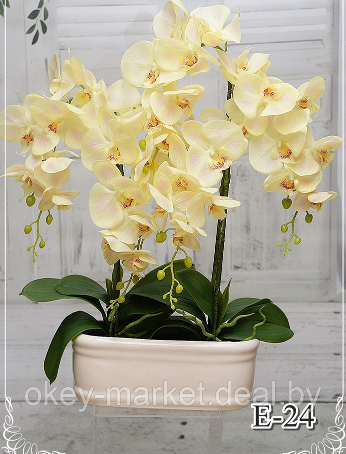 Цветочная композиция из орхидей в горшке E-24