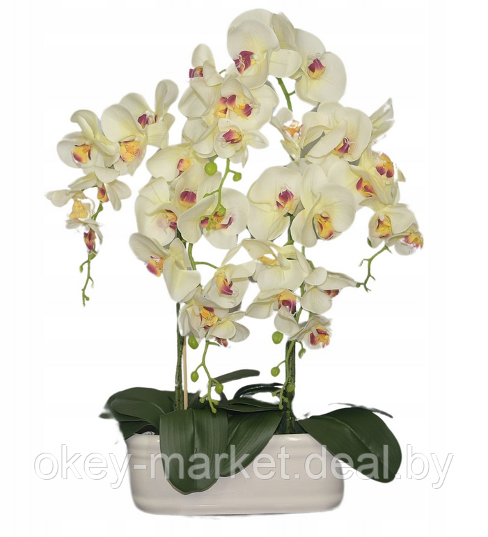 Цветочная композиция из орхидей в горшке R-828 - фото 1 - id-p147752395