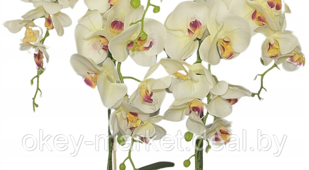 Цветочная композиция из орхидей в горшке R-828, фото 2