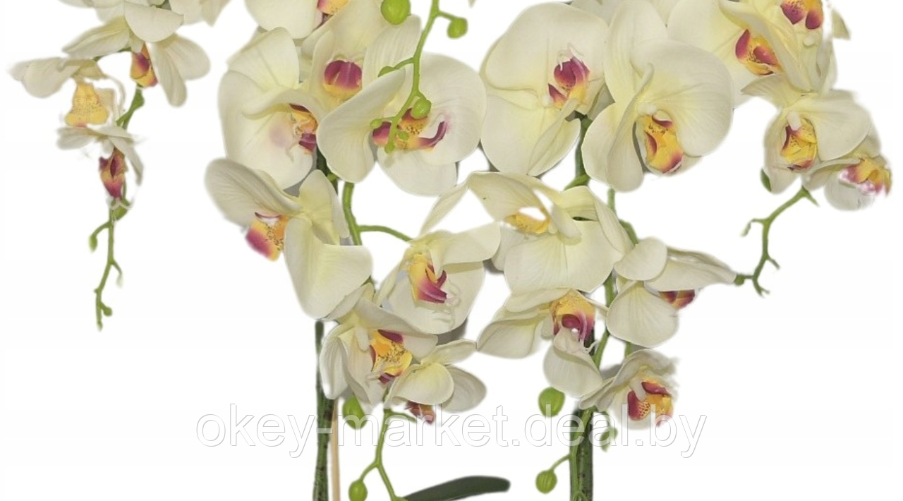 Цветочная композиция из орхидей в горшке R-828 - фото 4 - id-p147752395