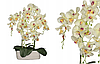 Цветочная композиция из орхидей в горшке R-828, фото 3