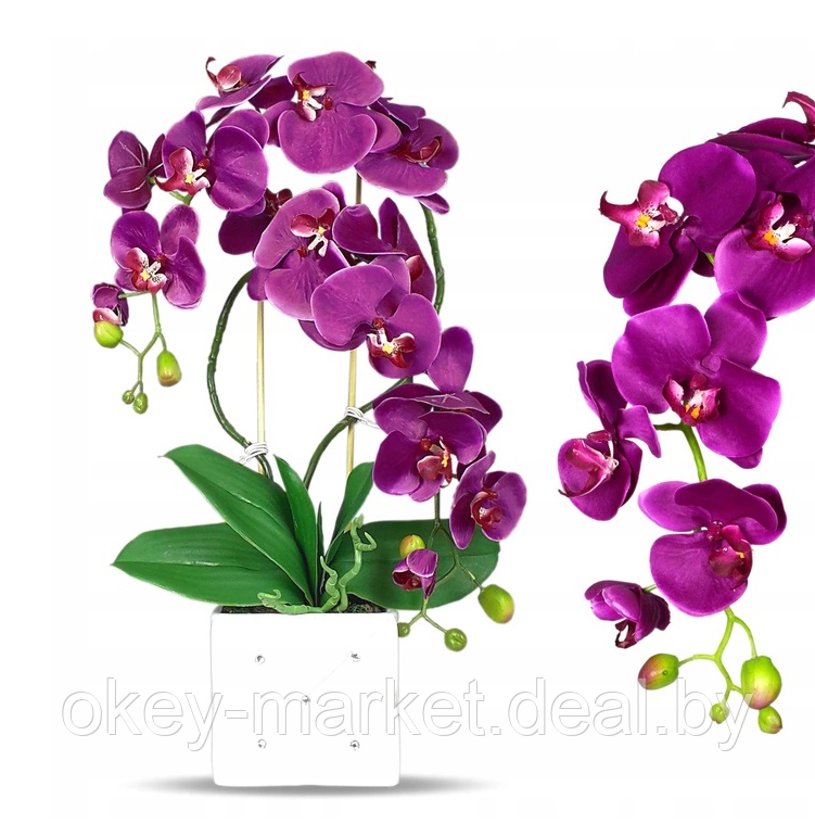 Цветочная композиция из орхидей в горшке F051c - фото 3 - id-p134738160