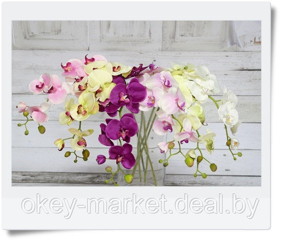 Цветочная композиция из орхидей в горшке 95 см - фото 10 - id-p144886731