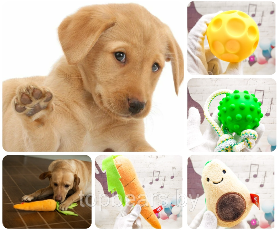 Набор игрушек для собак Счастливый пёс Fancy Pets, 4 в 1, SET1 - фото 1 - id-p217515525