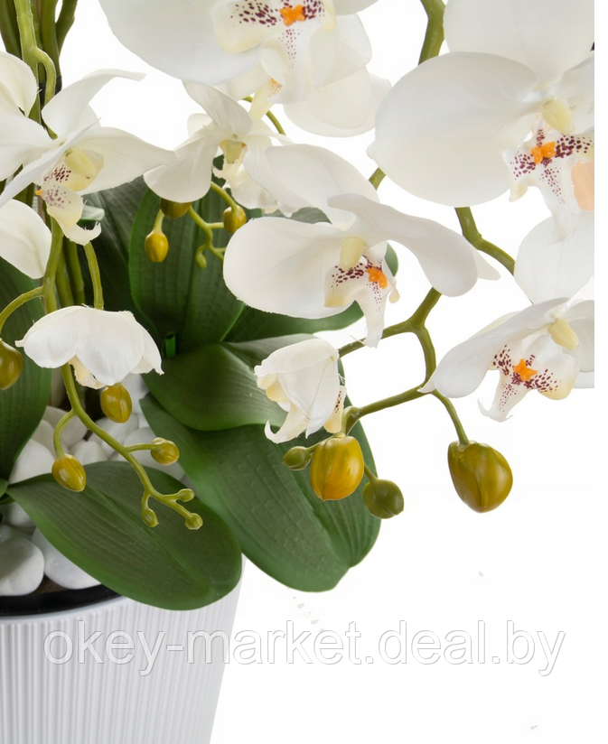Цветочная композиция из орхидей в горшке 5 веток 110 см - фото 5 - id-p169207091