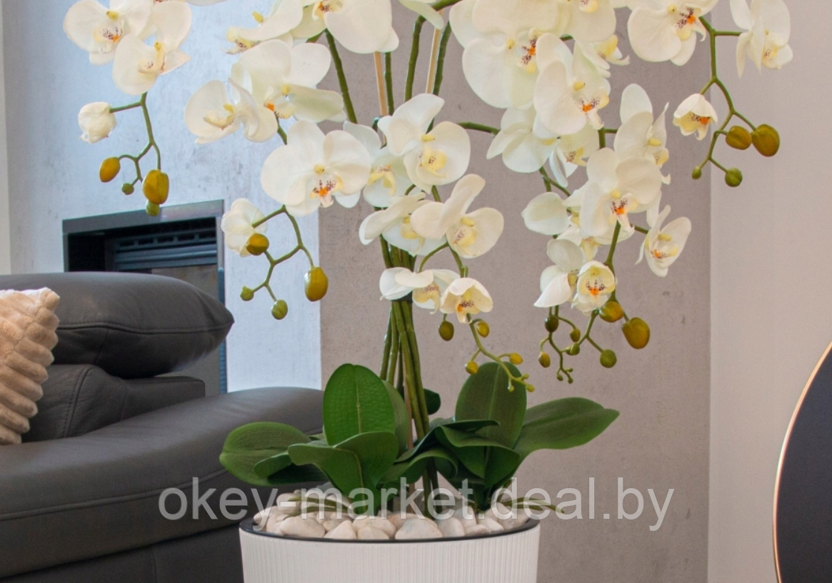 Цветочная композиция из орхидей в горшке 5 веток 110 см - фото 10 - id-p169207091