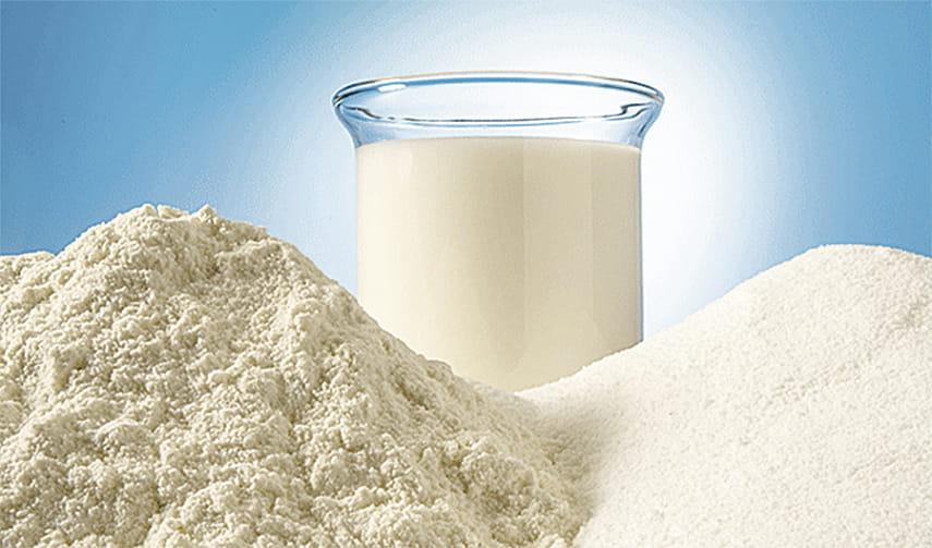 Молоко сухое обезжиренное 1,5% в мешках по 25кг РБ - фото 1 - id-p217603571
