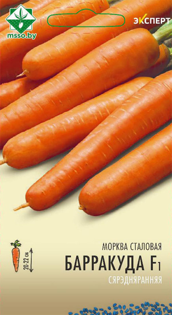 Морковь Барракуда F1 0,3г Эксперт МССО - фото 1 - id-p215595843