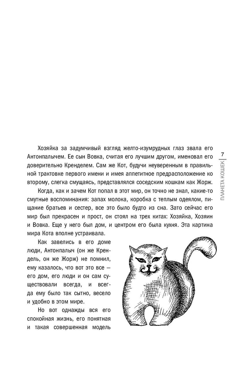 Книга Виктор Логинов «Планета кошек» 170*240 мм, 104 л., твердый переплет - фото 3 - id-p217631566