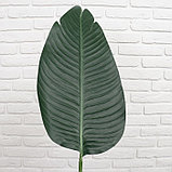 Дерево искусственное "Длинный лист" 150 см (листья 36х22, 44х24, 53х26см), фото 2
