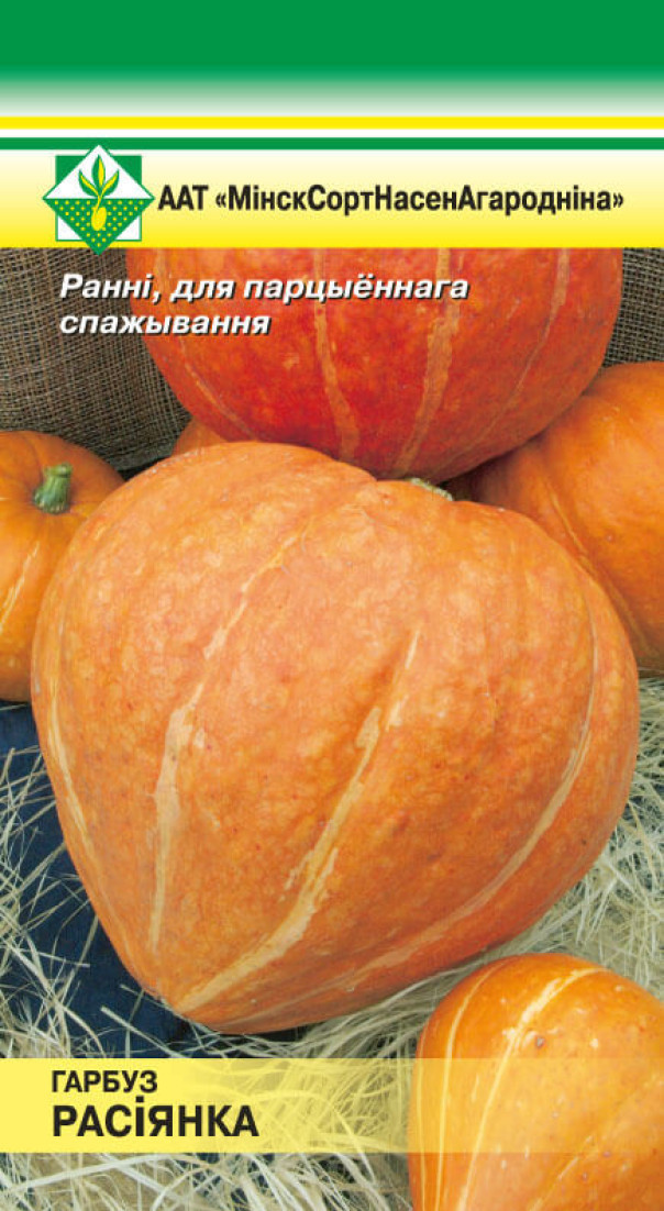 Тыква Отзывы Фото