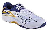 Кроссовки волейбольные Mizuno THUNDER BLADE Z