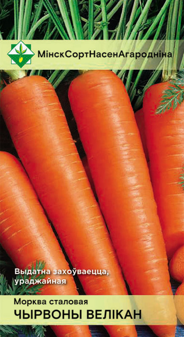 Морковь Красный великан столовая 1,5г МССО - фото 1 - id-p81015369