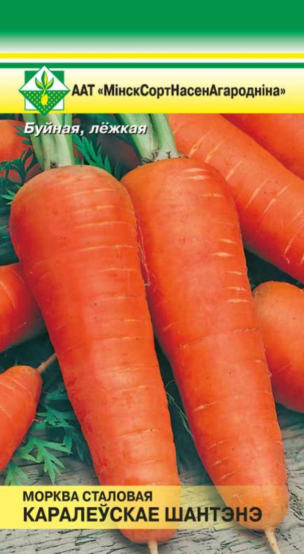 Морковь Шантенэ королевская 1,5г МССО - фото 1 - id-p81015383