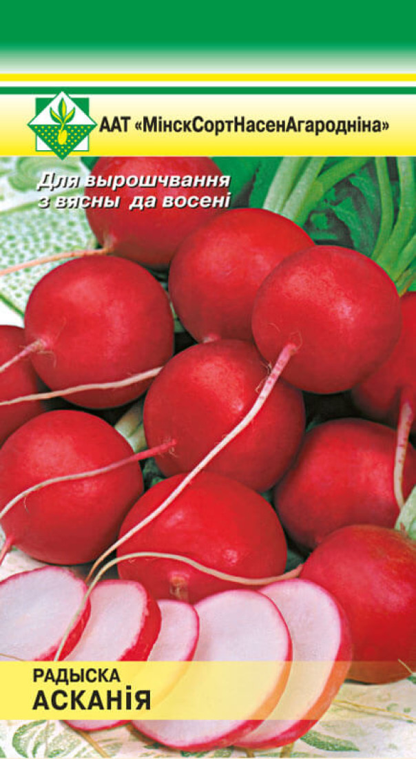 Редис Аскания 2г МССО