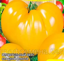Томат Сибирский Гигант жёлтый, семена, 0,05гр, Италия, (са)