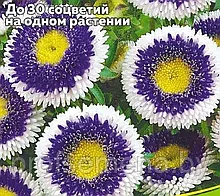 Астра помпонная Голубая луна, семена цветов, 0.15гр, Польша, (са)