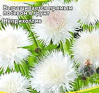 Василёк Вайт Бол, семена цветов, 0,5гр., Польша, (са)