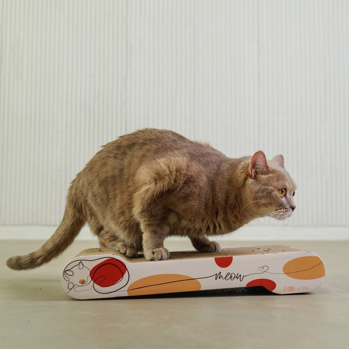 Когтеточка из картона с кошачьей мятой Meow, 45 × 18 см - фото 2 - id-p217715677