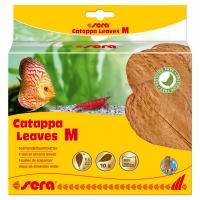 Листья индийского миндаля Sera Catappa Leaves, 10шт, 32см