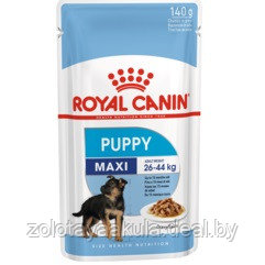 140гр Влажный корм ROYAL CANIN Maxi Puppy для крупных щенков до 15 месяцев, в соусе (пауч) - фото 1 - id-p217718312