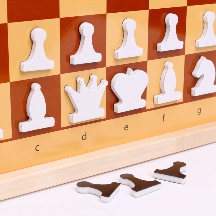 Шахматы и шашки демонстрационные магнитные (мини) - фото 3 - id-p217726390