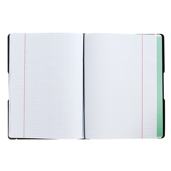 Тетрадь А4, 96 листов в клетку ErichKrause FolderBook, съёмная пластиковая обложка, блок офсет, белизна 100%, - фото 5 - id-p217726797