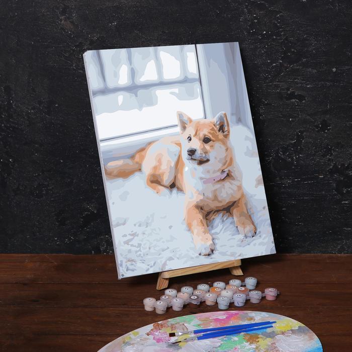 Картина по номерам на холсте с подрамником «Пёс на ковре», 40х30 см - фото 1 - id-p217728703