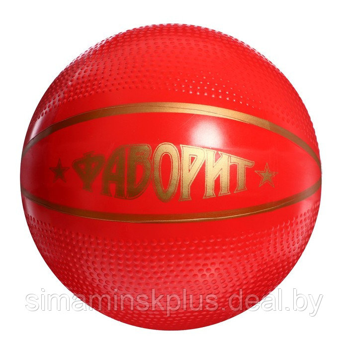 Мяч «Фаворит», диаметр 200 мм - фото 1 - id-p217728870