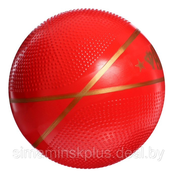 Мяч «Фаворит», диаметр 200 мм - фото 2 - id-p217728870