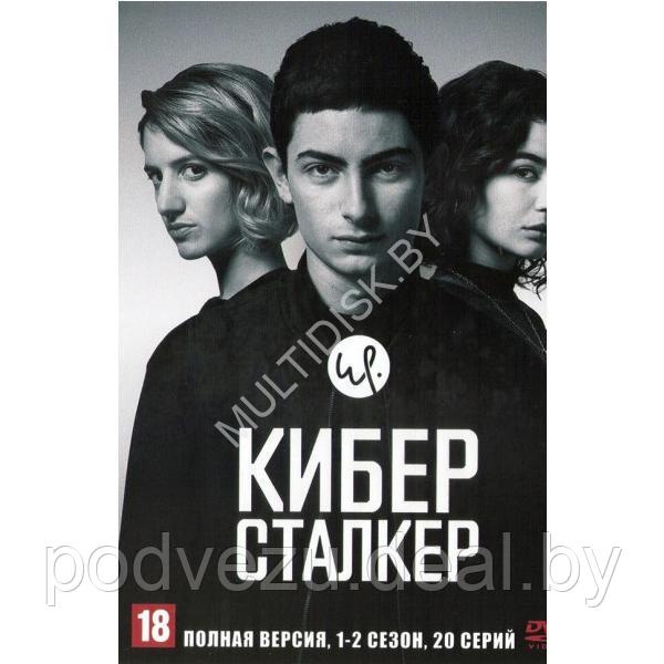 Киберсталкер 2в1 (2 сезона, 20 серий) (DVD)