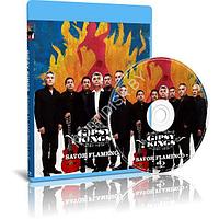 Gipsy Kings - Savor Flamenco Live (2013) (Blu-ray)