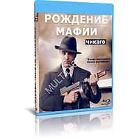 Рождение мафии Чикаго 2 сезон (8 серий) (2016) (BLU-RAY Видео сериал)