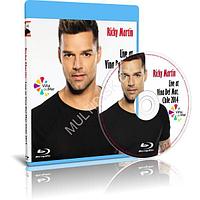 Ricky Martin - Vina del Mar (2014) (Blu-ray)