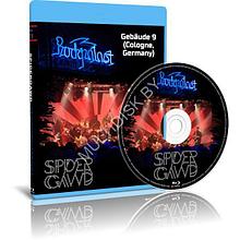 Spidergawd - Rockpalast / Gebäude 9 (Cologne. Germany) (2023) (Blu-ray)