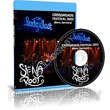 Siena Root - Rockpalast / Crossroads Festival (2023) (Blu-ray)