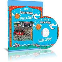 Wallows - Live @ Lollapalooza Brazil (2023) (Blu-ray)
