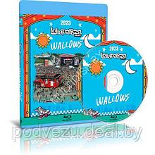 Wallows - Live @ Lollapalooza Brazil (2023) (Blu-ray)