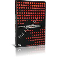 Camouflage - Live In Dresden (2009) (8.5Gb 2 DVD9)