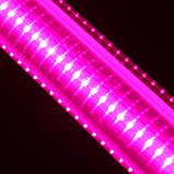 Фитосветильник светодиодный, 36 Вт, 1170 мм, IP65, сине-красный спектр, фиолетовый, FITO-36W-RB-N, «ЭРА», фото 7