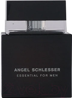 Туалетная вода Angel Schlesser Essential Men - фото 1 - id-p217788141