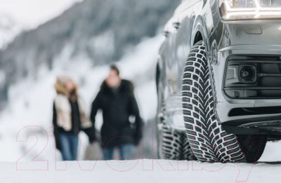 Зимняя шина Nokian Tyres WR SUV 4 235/60R17 106H - фото 6 - id-p217793311