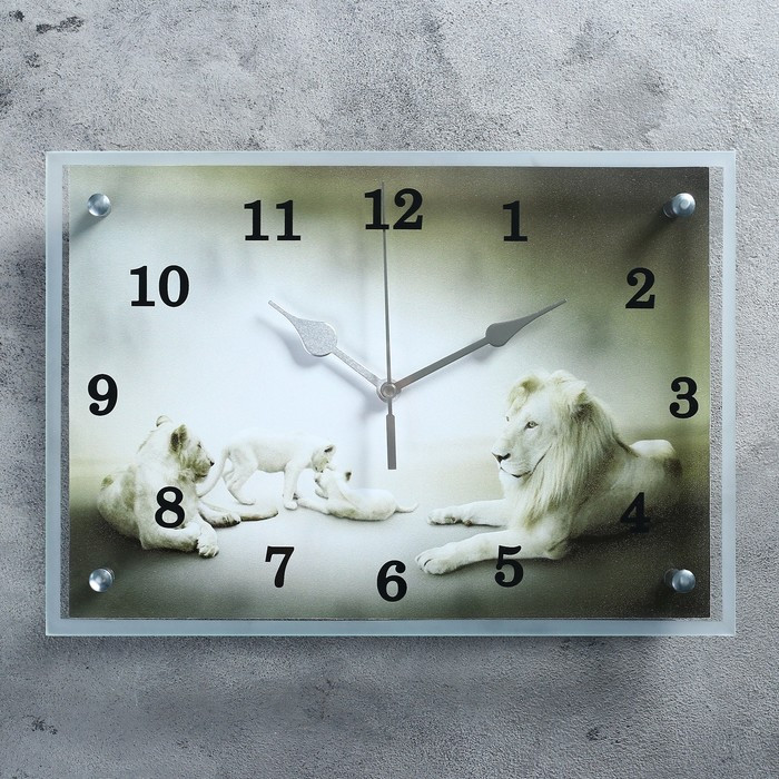 Часы-картина настенные, серия: Животный мир, "Белые львы" 25х35 см - фото 1 - id-p217804490